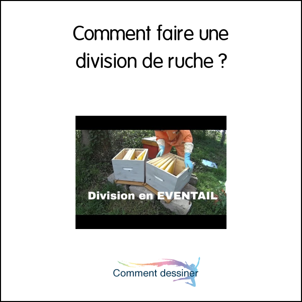 Comment faire une division de ruche